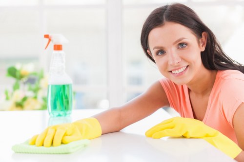 Cleaner maintaining a tidy Wandsworth home during a regular cleaning visit