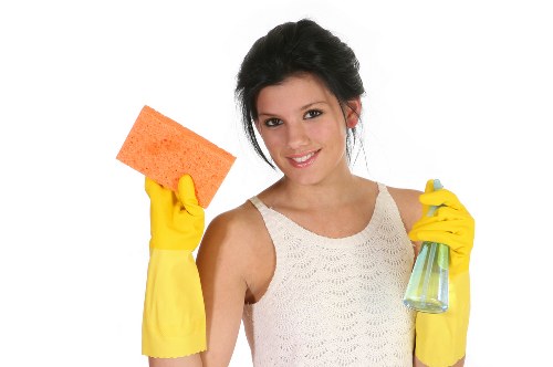 Oven cleaning service for a local Wandsworth kitchen appliance