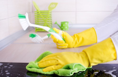 Detailed cleaning process for homes and workplaces in Wandsworth
