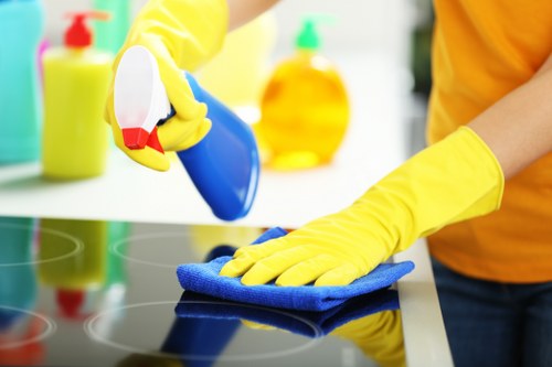 Kitchen and bathroom surfaces being cleaned as part of scheduled domestic cleaning in Wandsworth