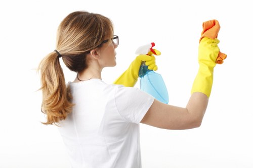 Recycling and sustainability service supporting cleaner borough operations