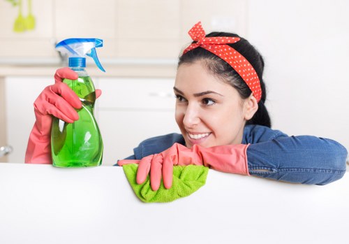 Local upholstery cleaning equipment used in a Wandsworth property