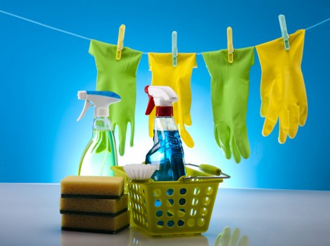 Professional cleaner maintaining a spotless Wandsworth property