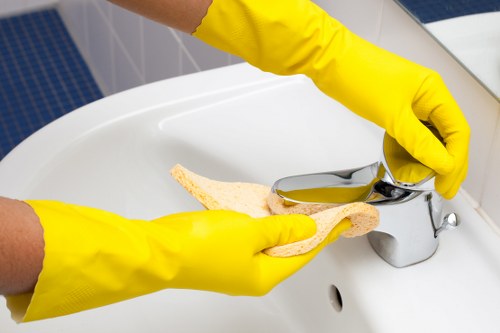 Detailed bathroom cleaning before moving into a Wandsworth home