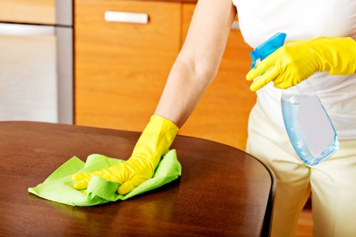 Professional Wandsworth cleaning service highlighting insurance and safety